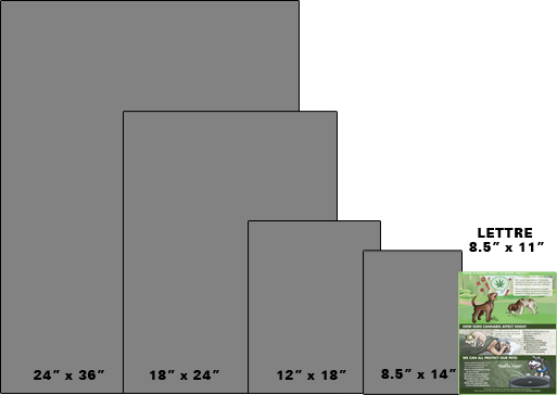 Paper Size Printing Choices - Letter