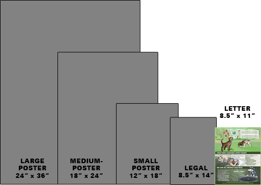 Paper Size Printing Choices - Letter